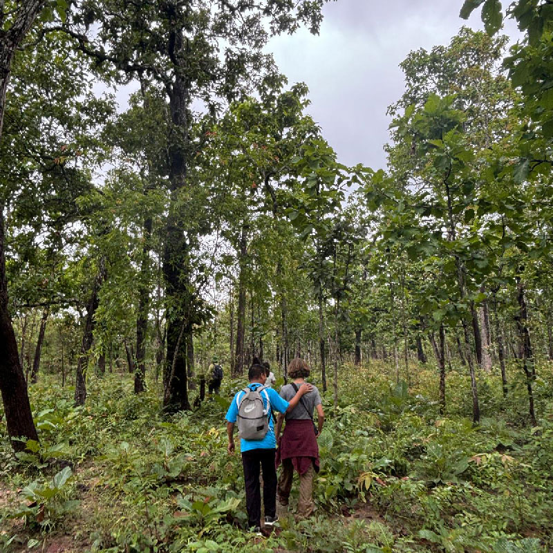 parc national de Yok Don