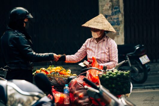 Les Sentiers du Nord au Sud du Vietnam