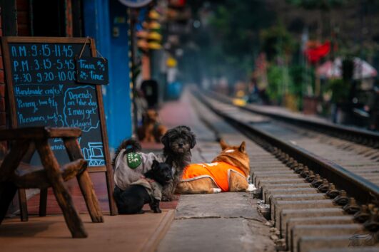 Les sentiers du Nord et du Centre