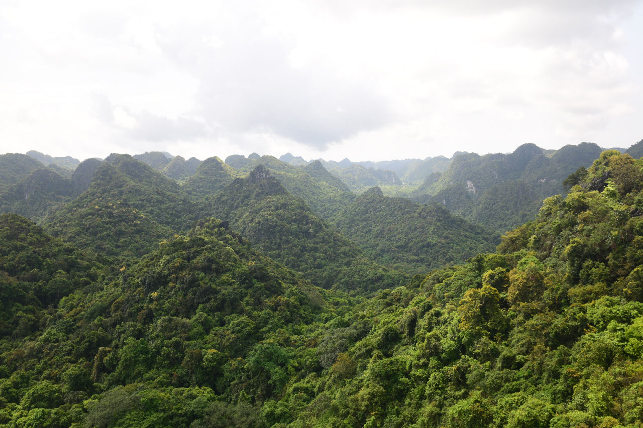 Parc national de Cat Ba 