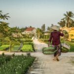 excursion hoi an 1