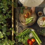 excursion hoi an 1