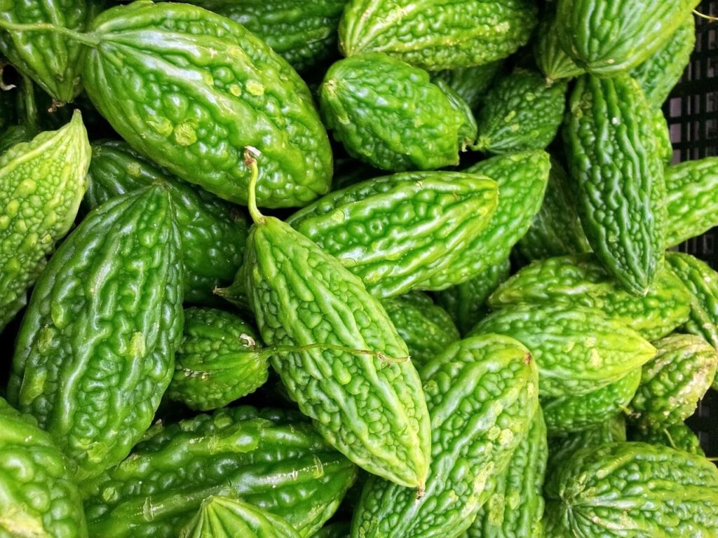 La margose ou melon amer