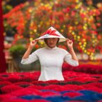 Préparer son voyage au Vietnam 2