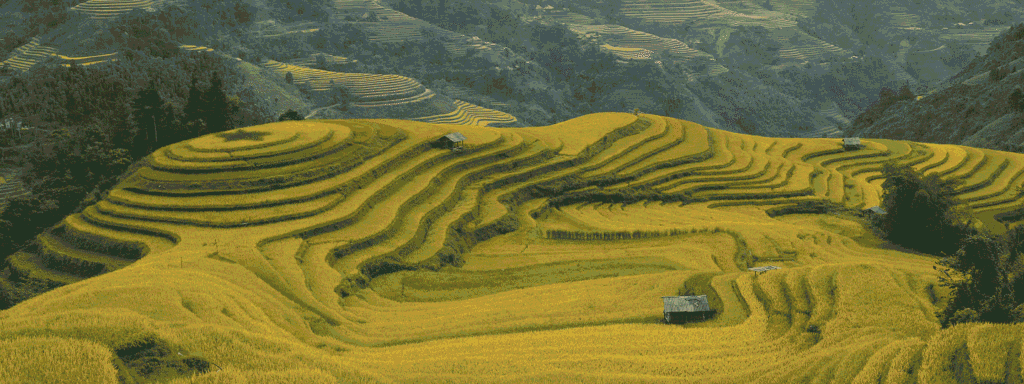 Itinéraire au Vietnam de 3 semaines