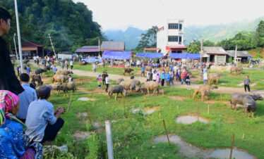 Marché de Bac Ha