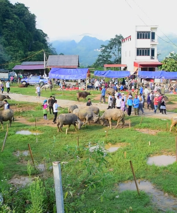 Marché de Bac Ha
