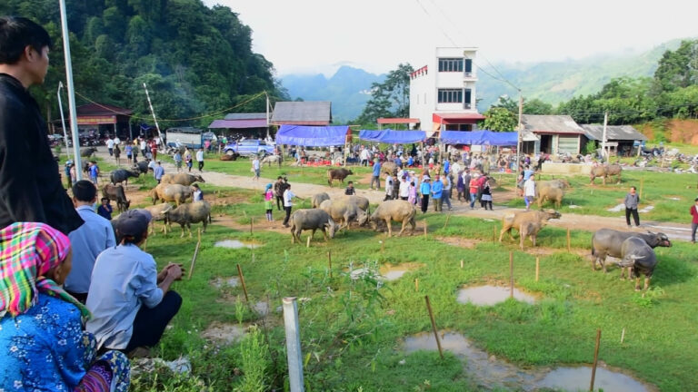 Marché de Bac Ha