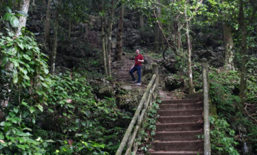 Parc de Cuc Phuong Ninh Binh