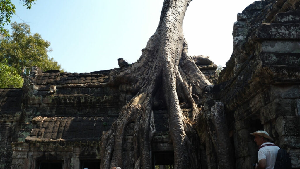 Temple Ta Prohm Tomb Raider