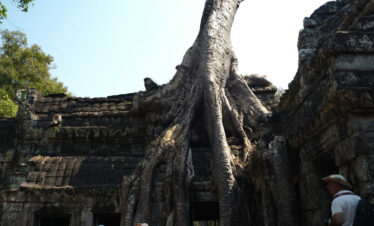 Temple Ta Prohm Tomb Raider