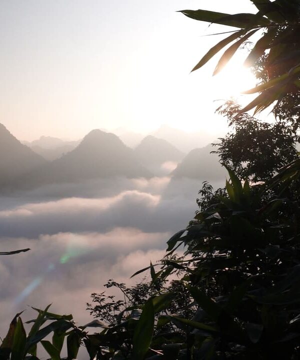 Mer de nuages Quynh son