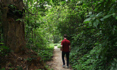 Parc national de Cuc Phuong