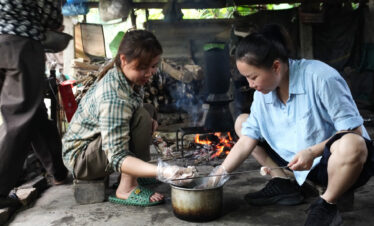 Champ de thé de Long Coc 2