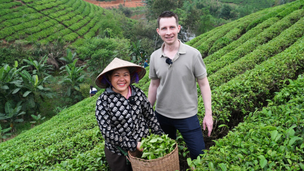 Champ de thé de Long Coc 3