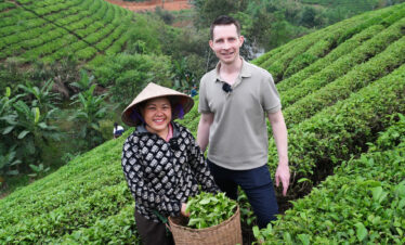 Champ de thé de Long Coc 3