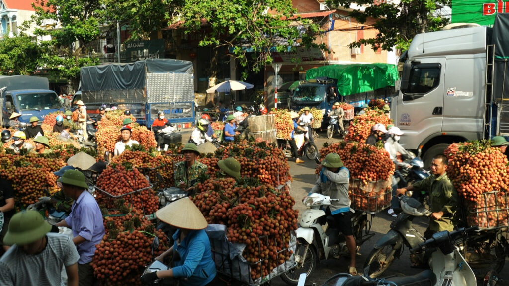 Marché de litchis 2