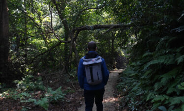 Parc national de Ba Vi 1