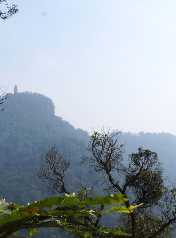 Parc national de Ba Vi 2