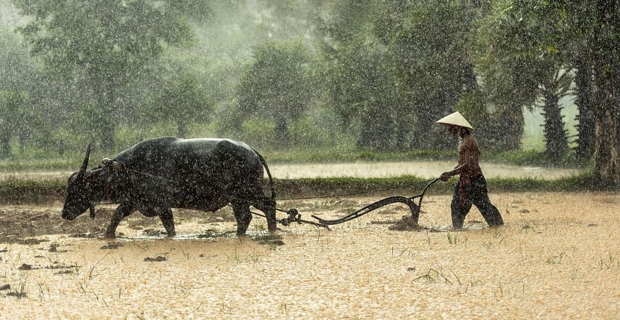 Saison des pluies Vietnam 2